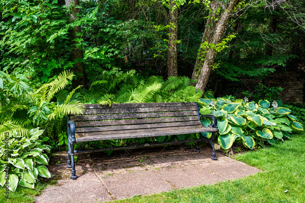 Park Bench in a Garden Park Bench in a Garden