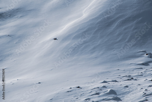 Ripples in the snow on Colorado Mtns