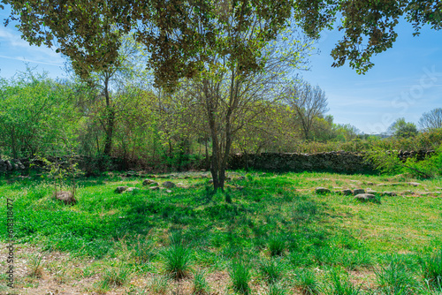 Antiguo lugar sagrado de enterramientos y rituales en medio del bosque. photo