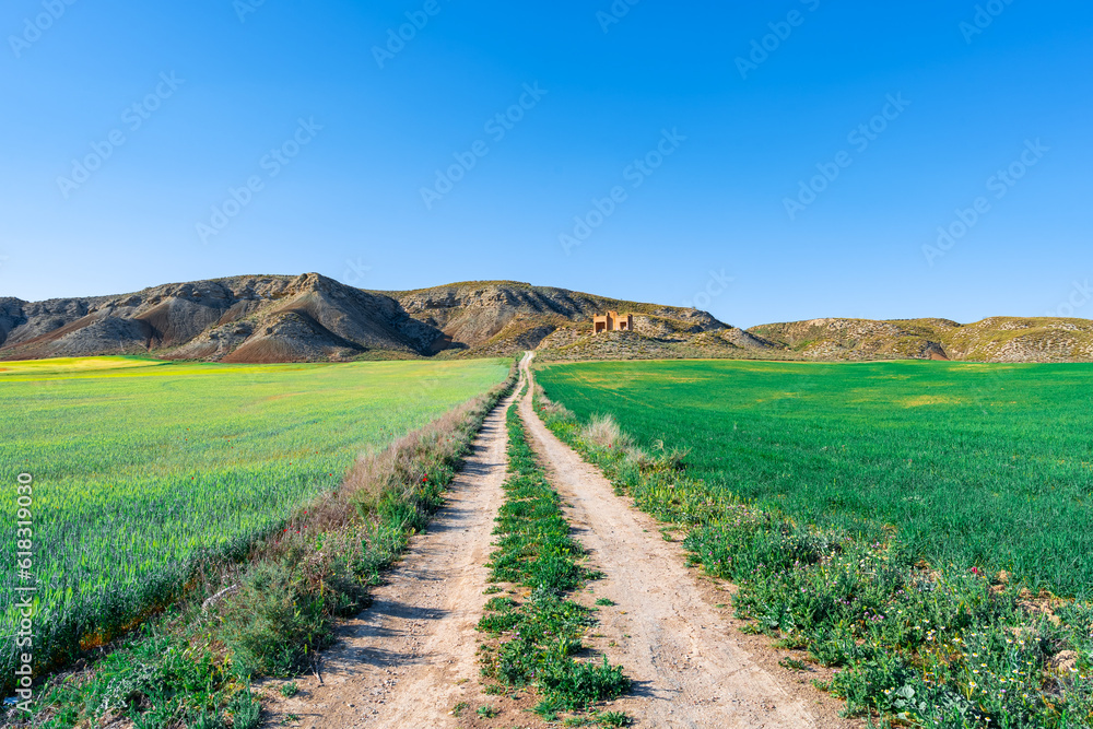 Camino entre cultivos que lleva hacia las montañas con una construcción, un día soleado con cielo azul.