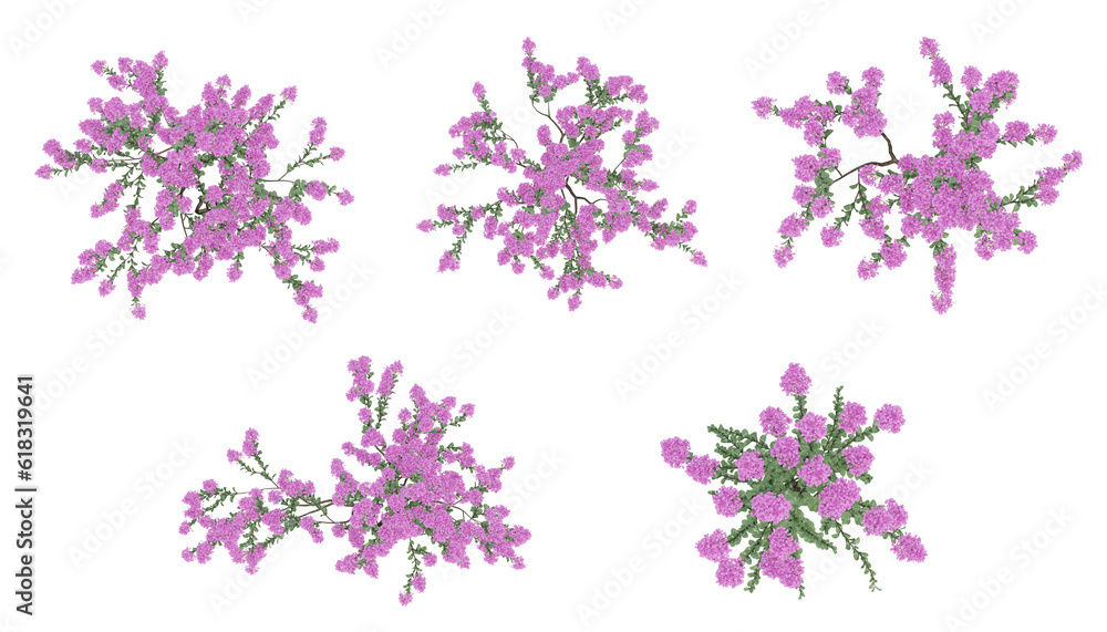 Pink trees on top view isolated on transparent background, 2d plants, 3d render illustration.