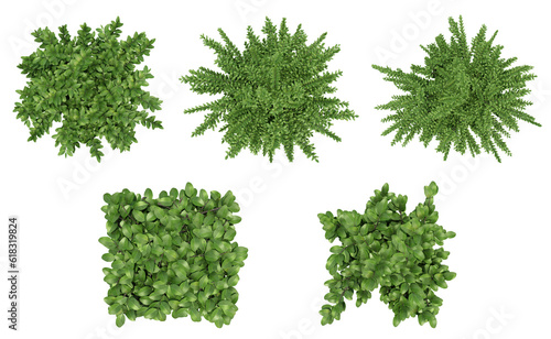 Stampa su tela Green trees on top view isolated on transparent background, 2d plants, 3d render illustration