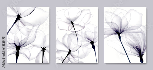 Luxury black and white art background with transparent flowers in a watercolor style. Hand drawn botanical floral set for decor, print, textile, interior design, poster.