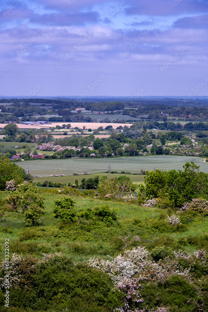 View from Malling Down nature reserve, East Sussex, England