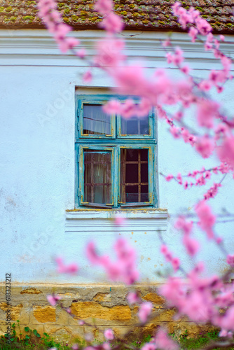 Traditional countryside house, wall with windows and colorful flowers