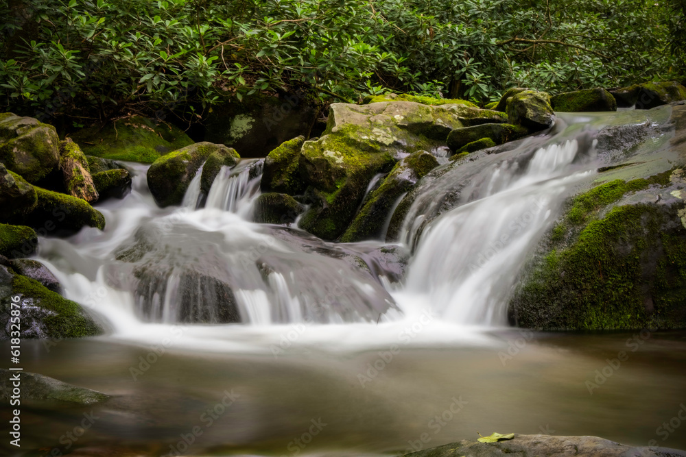 waterfall in the forest waterfall in the forest