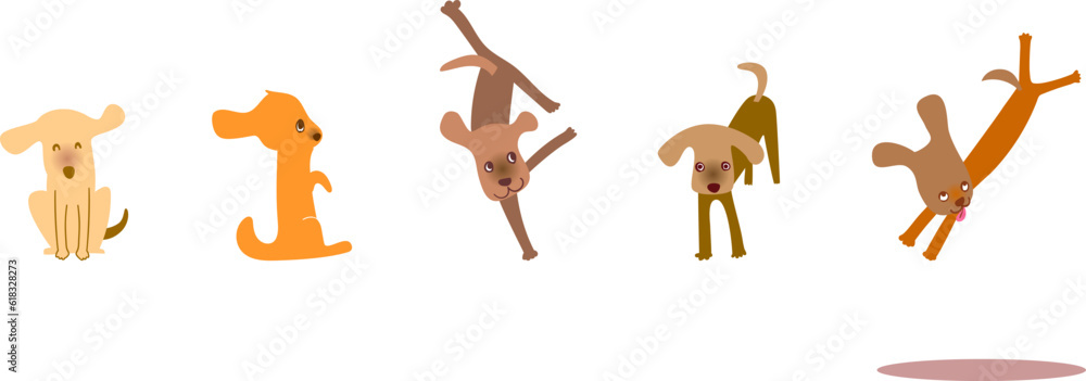Cute Mutt.Funny Dog. Cute Mutt.Funny Dog.
