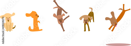 Cute Mutt.Funny Dog.