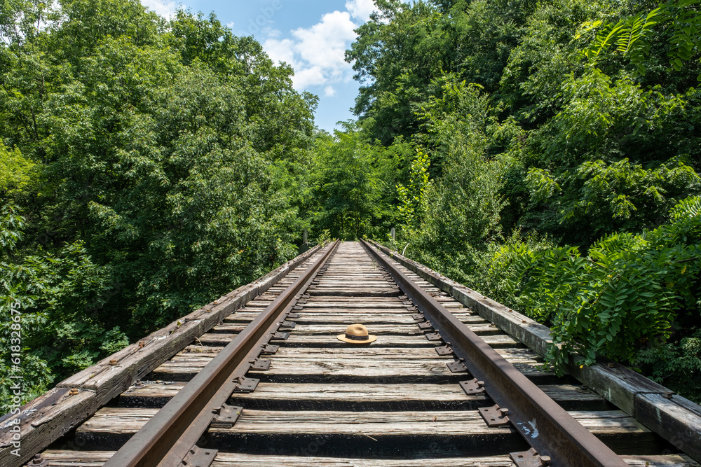 Straw hat sitting alone on a railroad track in the forest on a sunny day
