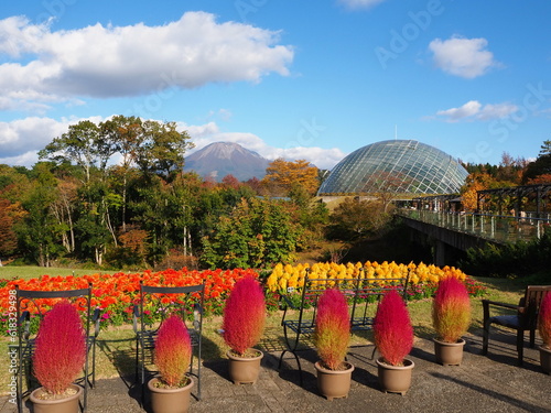 Tottori Hanakairo Flower Park, Enjoy beautiful flowers and a view of mount Daisen
