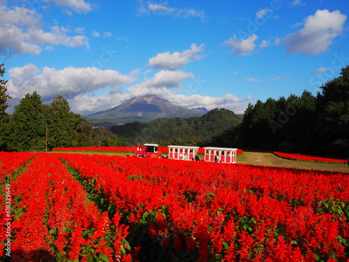 Foto Tottori Hanakairo Flower Park, Enjoy beautiful flowers and a view of mount Daise