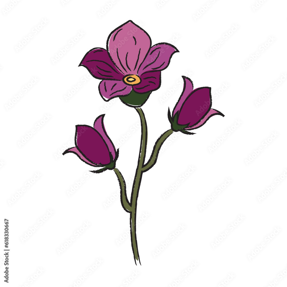 Obraz premium Isolated colored realistic flower sketch Vector