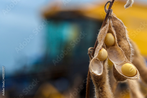 Mechanized soybean harvest on a farm in Brazil