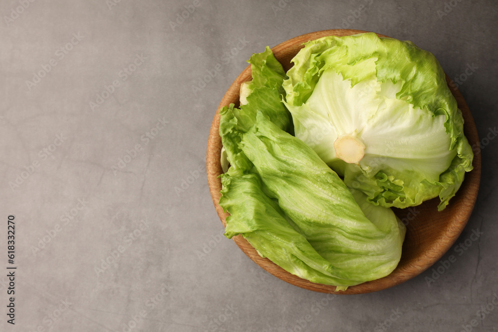 Bowl with fresh green iceberg lettuce head and leaves on grey table, top view. Space for text Bowl with fresh green iceberg lettuce head and leaves on grey table, top view. Space for text