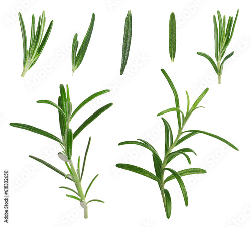 Set with fresh rosemary isolated on white