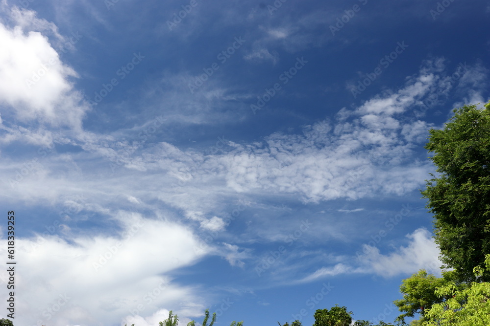 Blue sky and beautiful cloud with meadow tree. Plain landscape background for summer poster. The best view for holiday. Blue sky and beautiful cloud with meadow tree. Plain landscape background for summer poster. The best view for holiday.