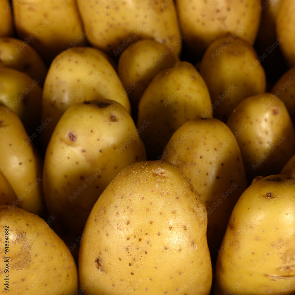 close-up clean potato abstract background close-up clean potato abstract background