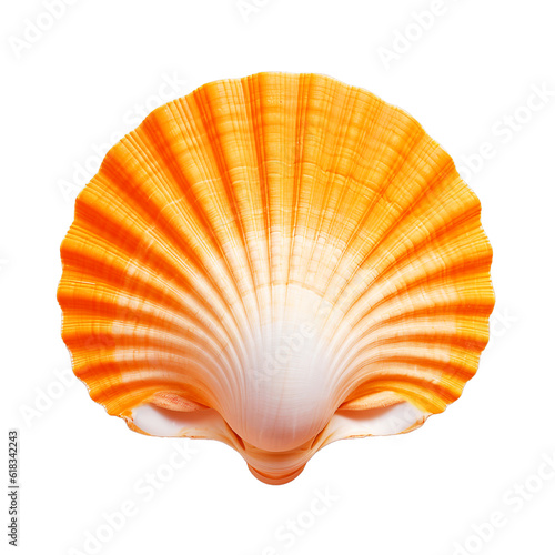 Orange seashell, isolated, transparent background. Generative AI image.