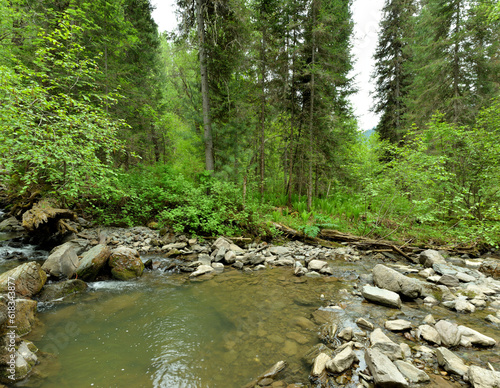 A large backwater in the rocky bed of a small mountain river flowing through the morning summer forest.