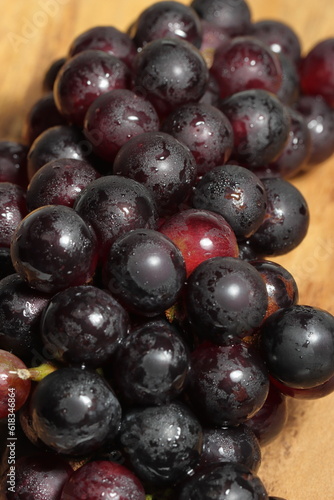Wallpaper Mural Black grapes on texture background Torontodigital.ca