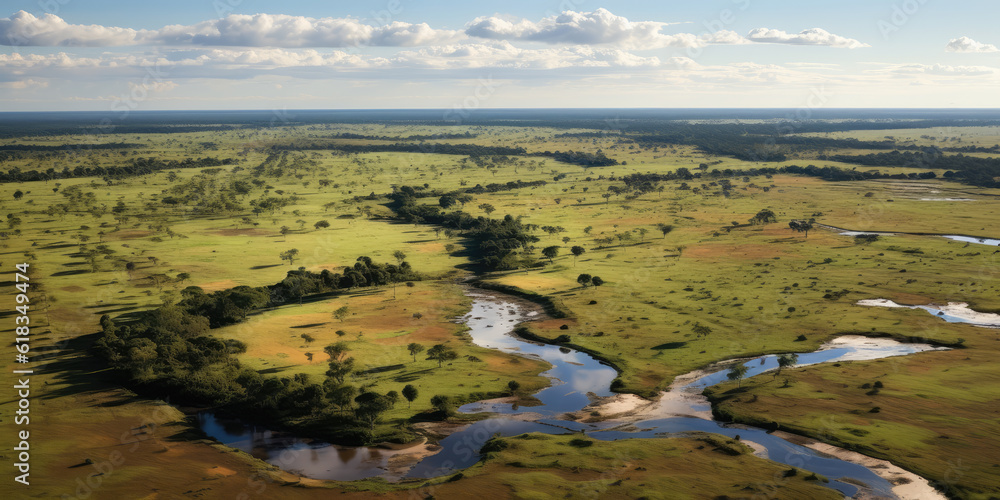 Naklejka premium Pantanal with cotton and corn cultivation areas, landscape full of rivers and exotic fauna. Generative AI.