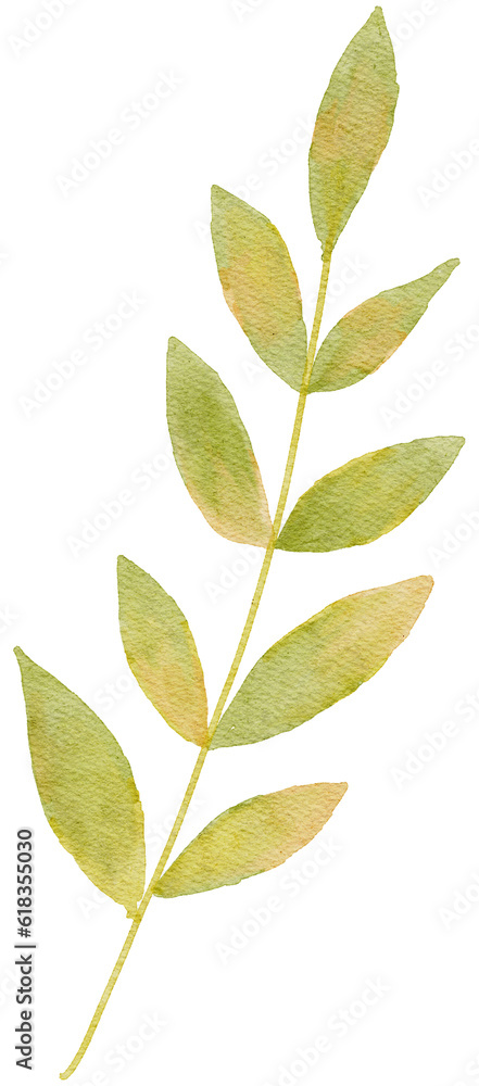 watercolor leaves illustration watercolor leaves illustration