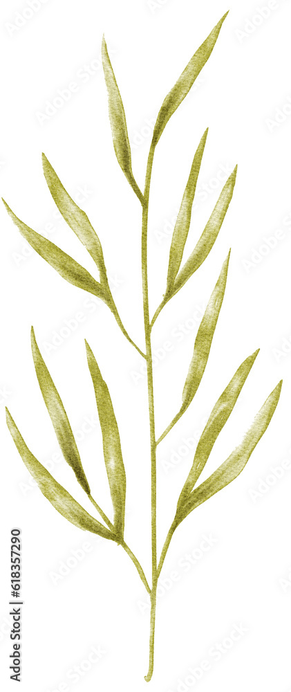 Fototapeta premium watercolor leaf illustration