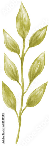 watercolor leaf illustration
