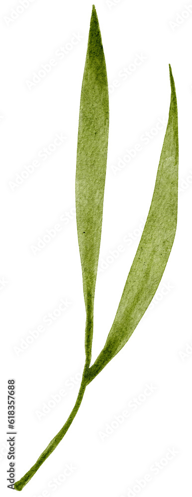 Obraz premium watercolor leaf illustration