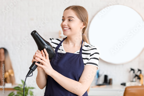 Female hairdresser with dryer in beauty salon