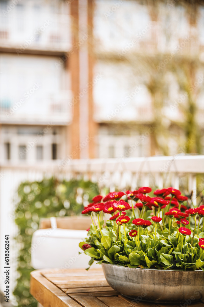 some red flowers in a bowl on a wooden table with a white fence and building in the back ground behind