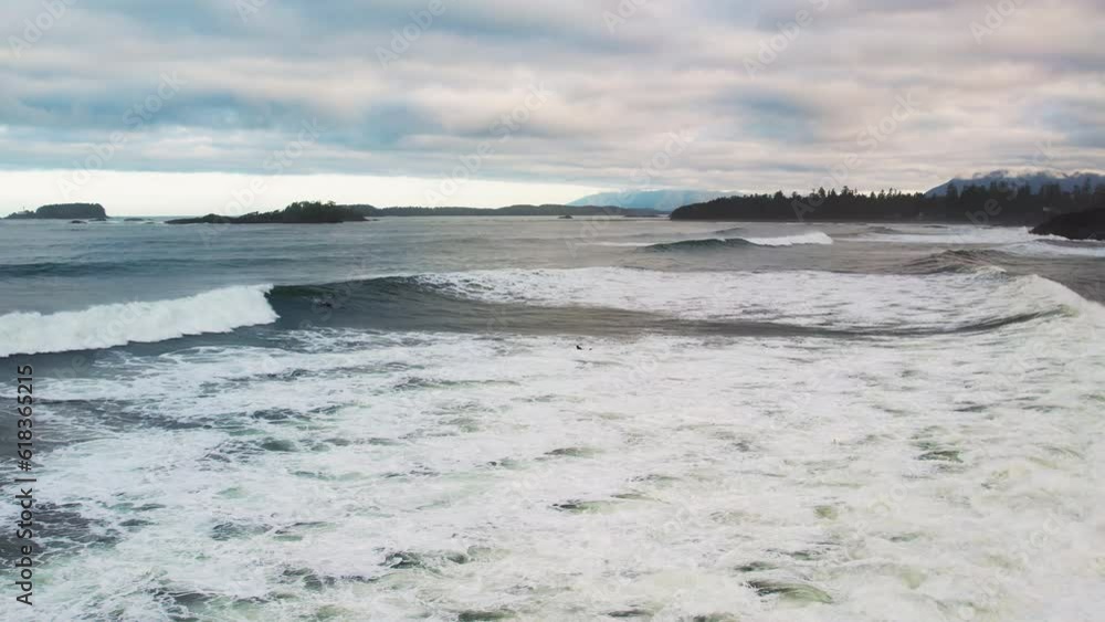Surfers in water trying to catch waves at Cox Bay beach, Tofino. Aerial Surfers in water trying to catch waves at Cox Bay beach, Tofino. Aerial