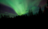 Aurora borealis in the Yukon, Canada