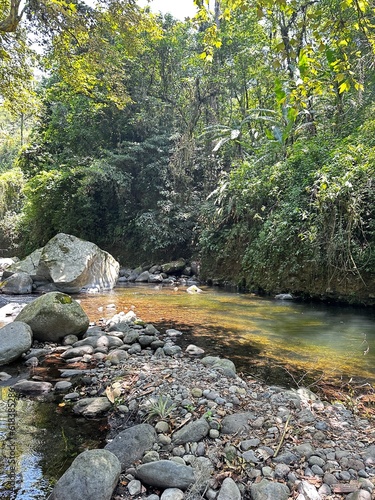 selva junto al rio en xico veracruz mexico photo