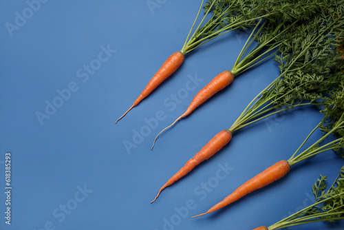 Fresh carrots with leaves on blue background