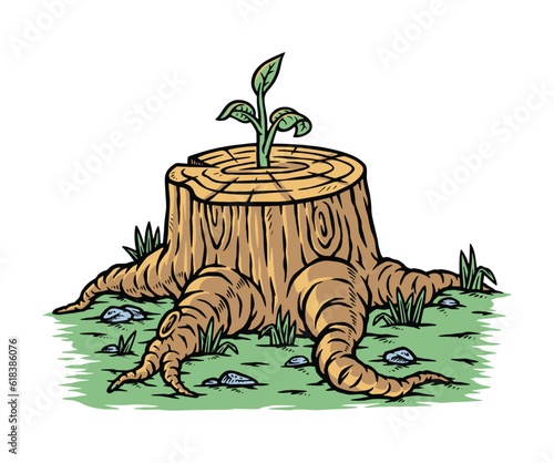 Plant growing out of a tree stump