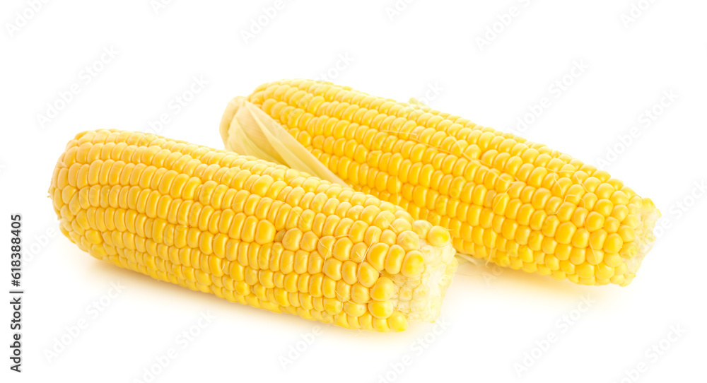 Fresh corn cobs on white background Fresh corn cobs on white background