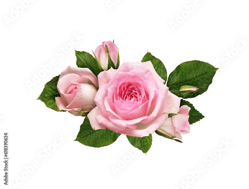 Canvas Print Pink rose flowers in a floral arrangement isolated on white or transparent backg