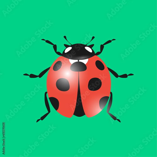 Ladybug cartoon icon. Vector illustration isolated on green background. © Helga