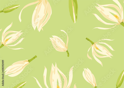 White champaca background, magnolia x alba, green, yellow, white, champak