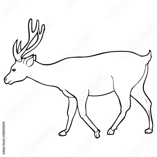 deer sketch vector illustration