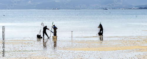 Canvas Print Silhouette of three mariscadores or fishermen in the water on the beach at low tide to collect clams and mussels with their shellfish drag rakes