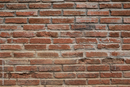 The red brick wall is used as a background or wallpaper.