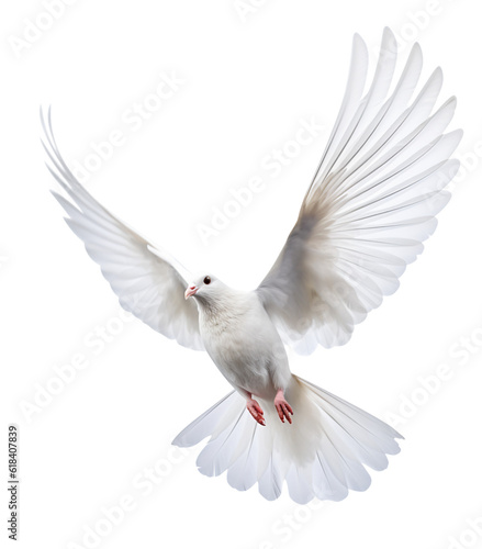 Canvastavla white dove isolated on transparent background