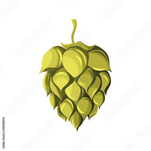 Hops.Beer hops, a plant for making beer.Vector illustration.