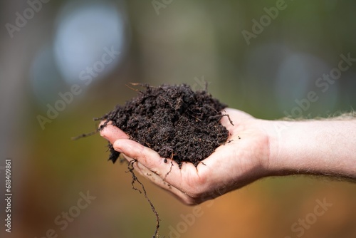 Holding soil in a hand, feeling compost in a field in Tasmania Australia.