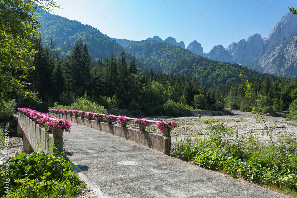 bridge with flowers in valbruna