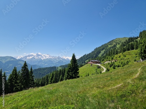 Moosalm in Gries im Pinzgau