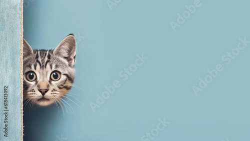 Cat peeks out from behind a corner on a blue background.