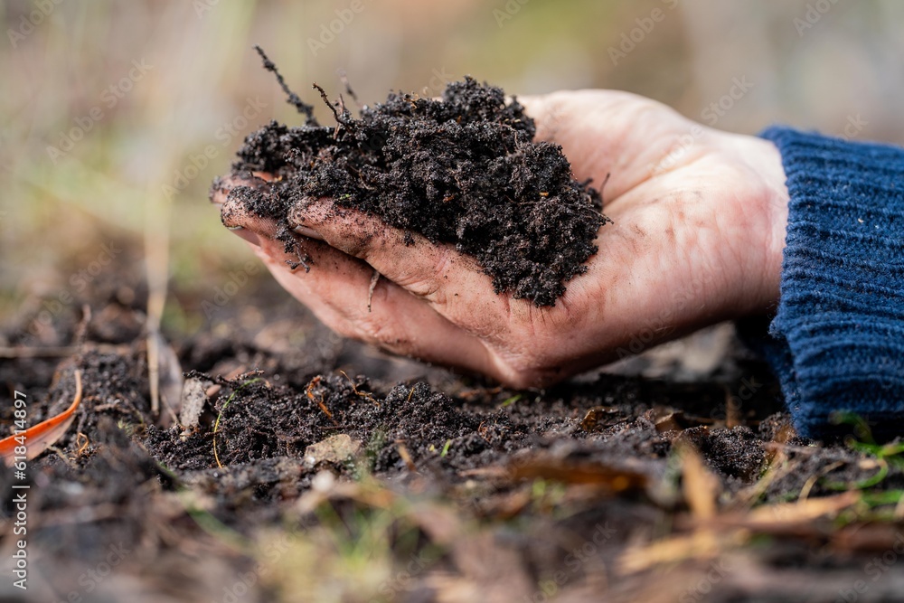 regenerative organic farmer, taking soil samples and looking at plant growth in a farm. practicing sustainable agriculture. regenerative organic farmer, taking soil samples and looking at plant growth in a farm. practicing sustainable agriculture.
